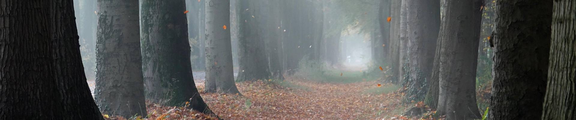 Quelle: Pixabay/Pfarrbriefservice